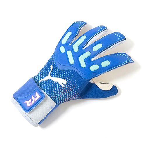 フューチャー プロ ハイブリッド