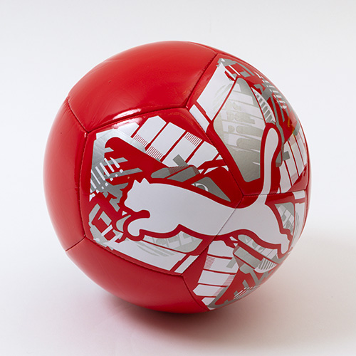 ビッグ キャット ボール 5号球