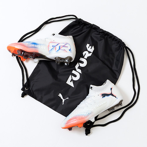 フューチャー 8 アルティメット FG