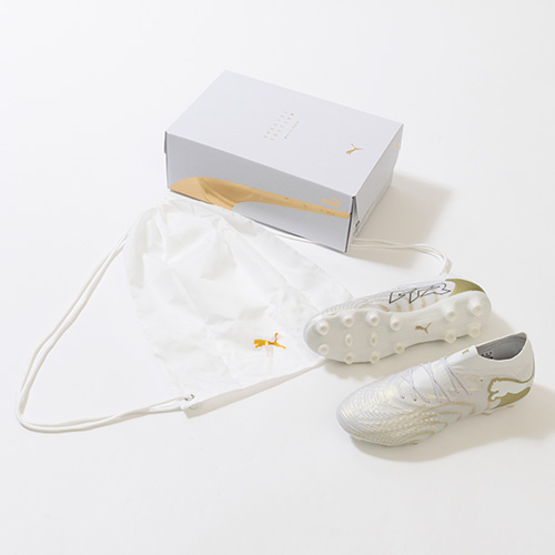 フューチャー 9 アルティメット HG/AG