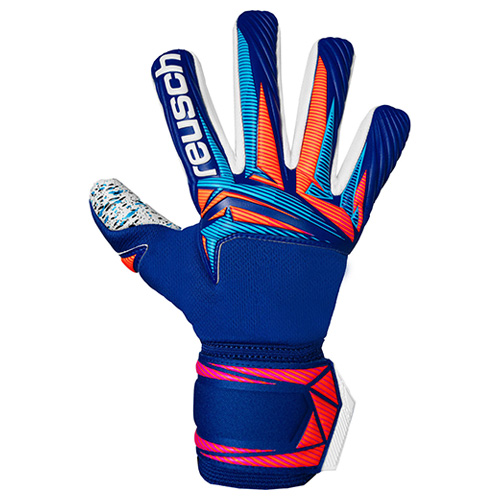 アトラクト フュージョン NC