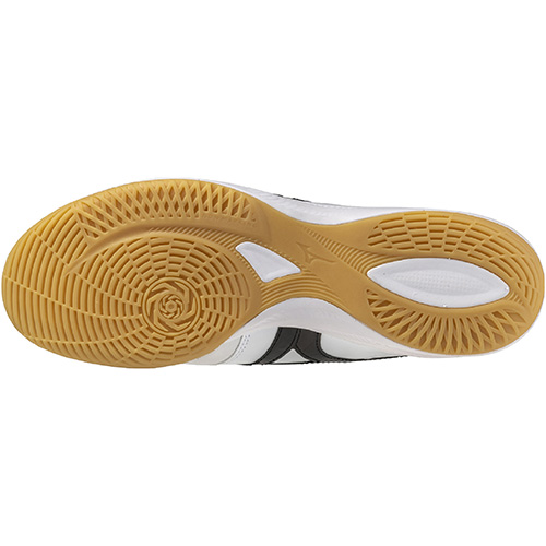 モレリア SALA ELITE IN