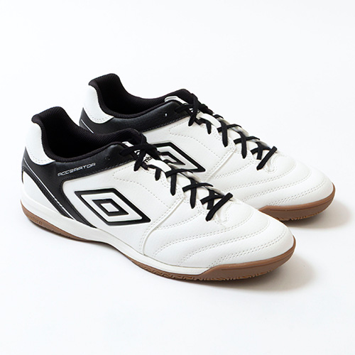 アクセレイターサラ WIDE IN