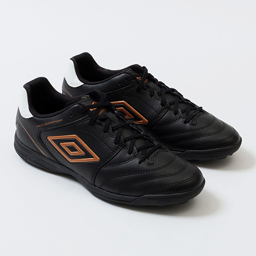 アクセレイターTR WIDE