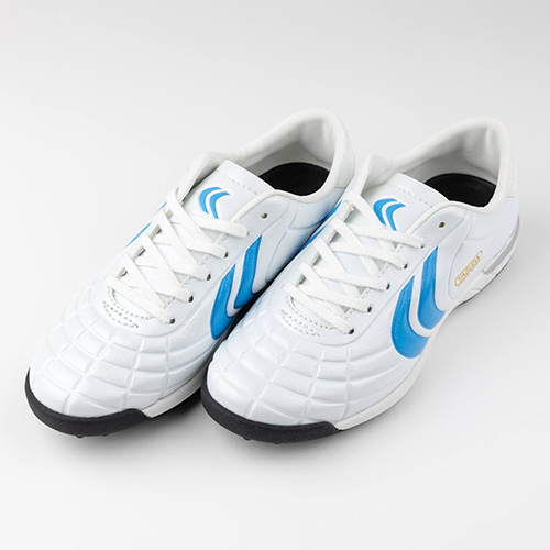 リガレスタ TF Jr.