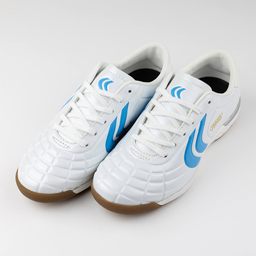 リガレスタ IN Jr.