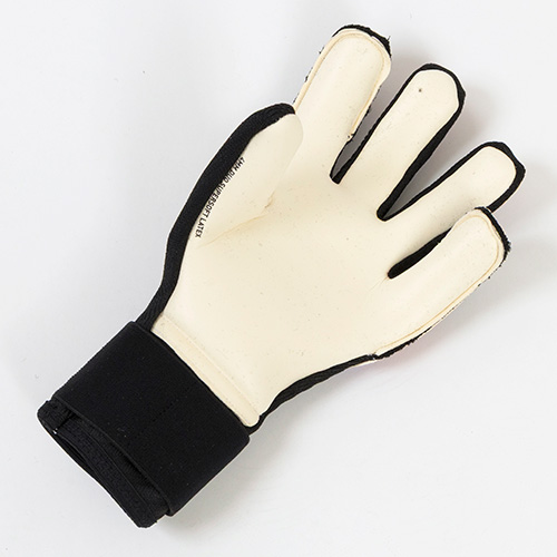 フューチャー プロ ハイブリッド