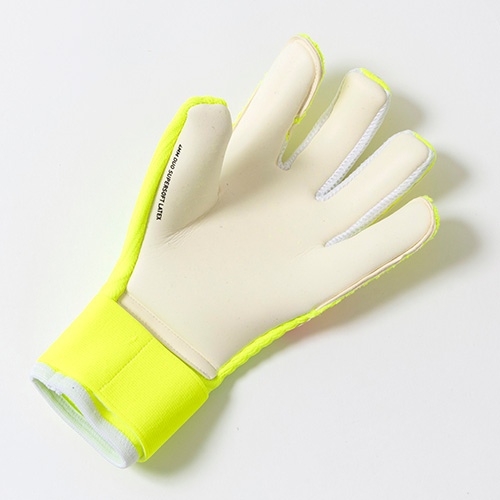 フューチャー プロ ハイブリッド