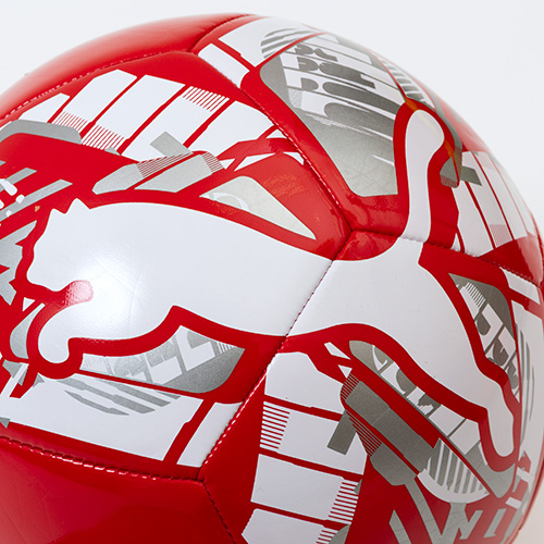 ビッグ キャット ボール 4号球