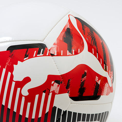 INDIVIDUALLIGA グラフィック ボール 5号球