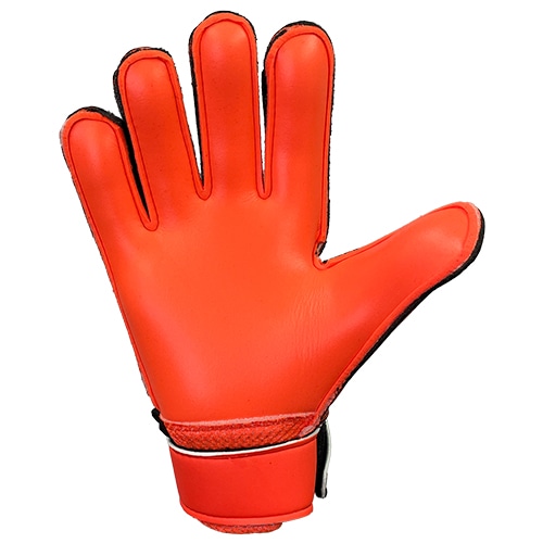 メニャン スターターソフト