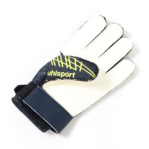 プレディクション スターターソフト