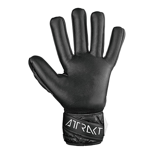 アトラクト ゴールド X NC