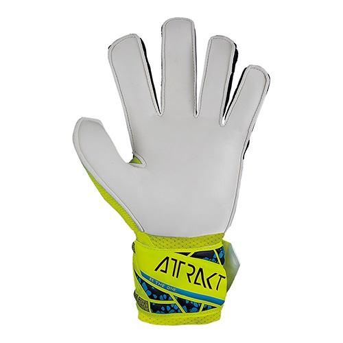 アトラクト ソリッド ジュニア