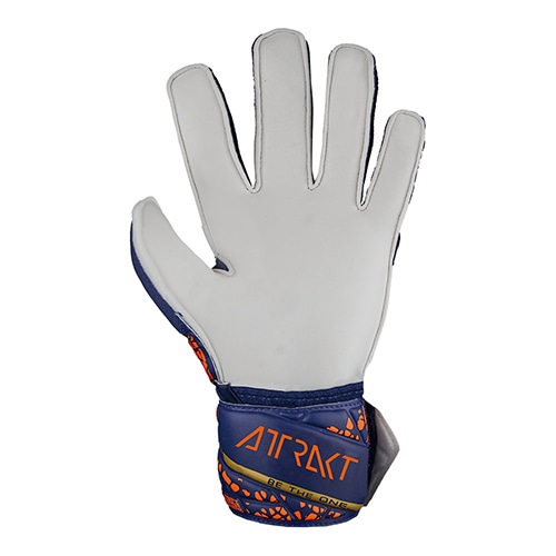 アトラクト ソリッド ジュニア