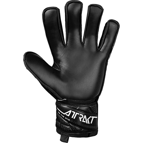 アトラクト ソリッド