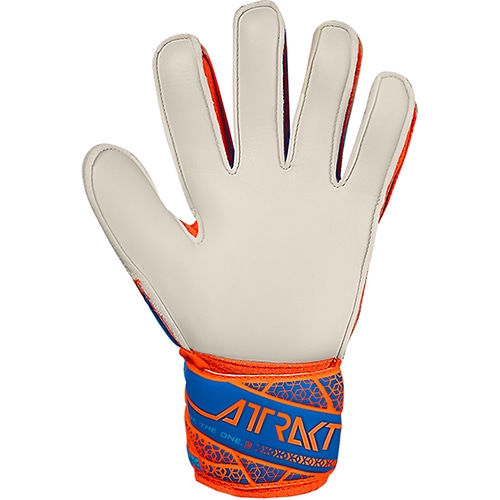 アトラクト ソリッド ジュニア