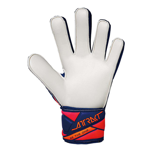 アトラクト ソリッド ジュニア