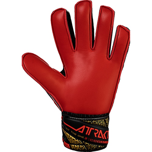 アトラクト ソリッド ジュニア