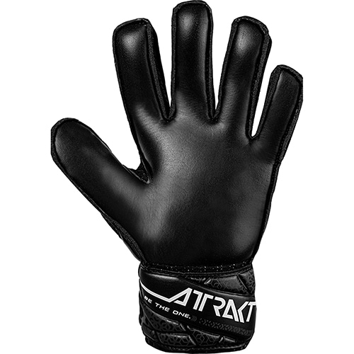 アトラクト ソリッド ジュニア