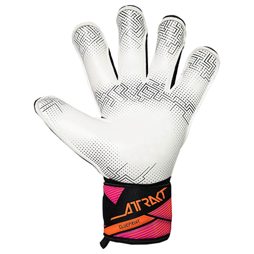 アトラクト アドバンス エボリューション グループリント