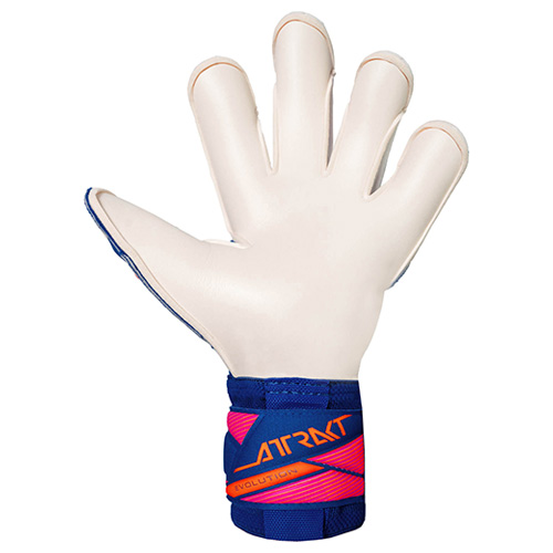 アトラクト ゴールドX エボリューション