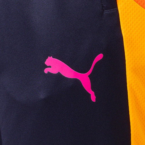 INDIVIDUALBLAZE TR パンツ