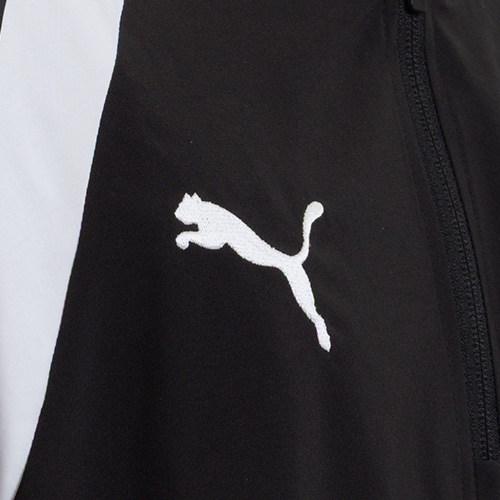 TEAMFINAL PISTE トップ