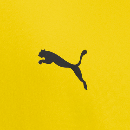 TEAMLIGA26 シャツ