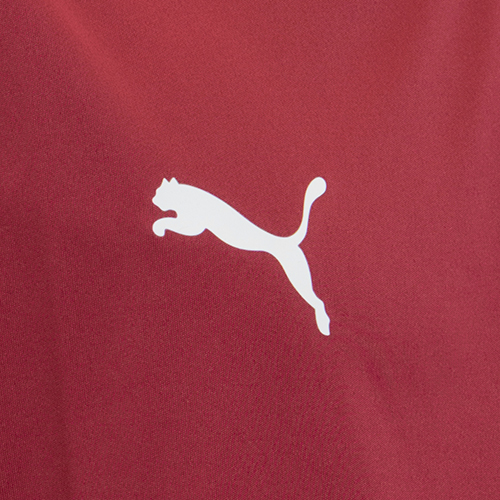 TEAMLIGA26 シャツ