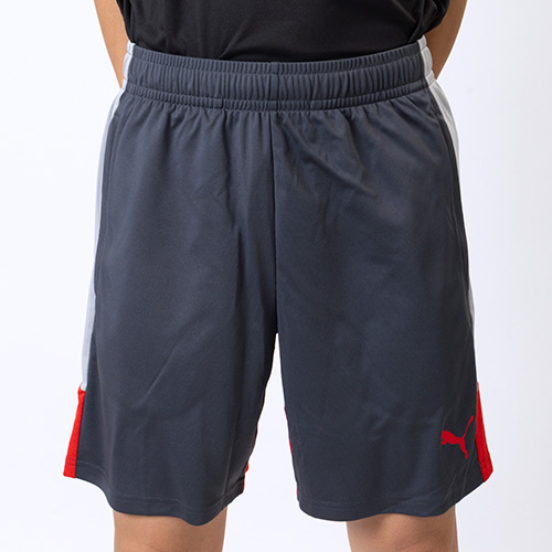 INDIVIDUALLIGA TR ショーツ