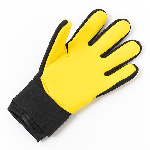 マトゥー イノベーティブ マルチ