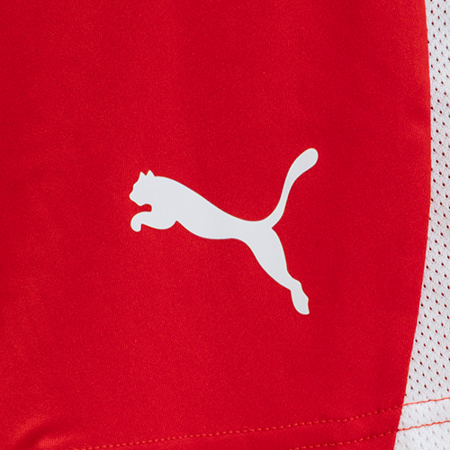 TEAMLIGA26 ショーツ