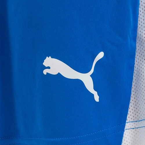 TEAMLIGA26 ショーツ