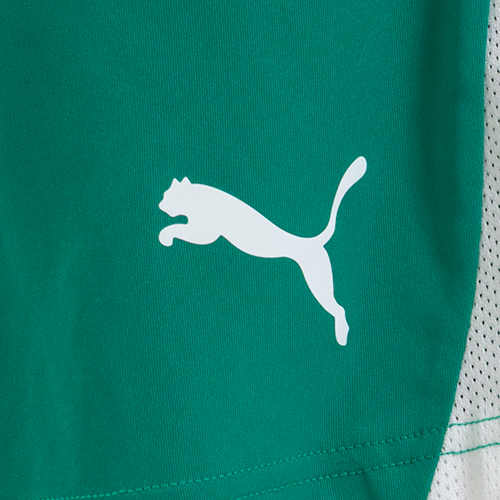 TEAMLIGA26 ショーツ