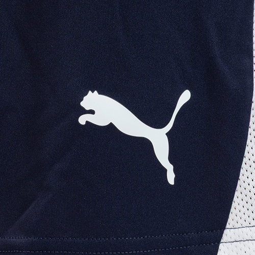 TEAMLIGA26 ショーツ