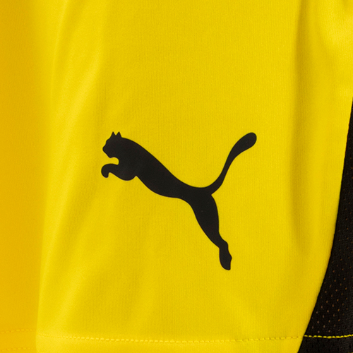 TEAMLIGA26 ショーツ