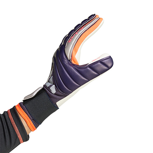 コパ GKグローブ League