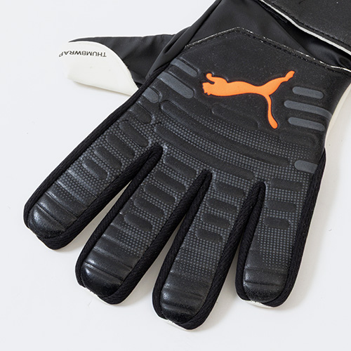 フューチャー プレイ NC