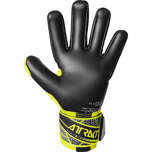 アトラクト ゴールドX NC