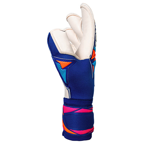 アトラクト ゴールドX エボリューション