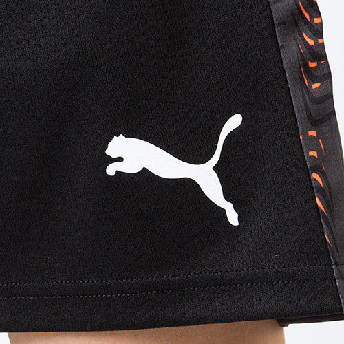 INDIVIDUALFINAL TR ショーツ