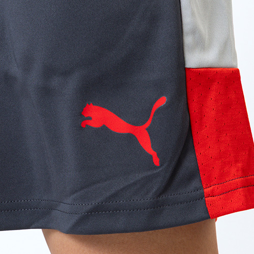 INDIVIDUALLIGA TR ショーツ