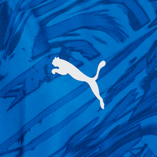 TEAMFINAL グラフィック ゲームシャツ