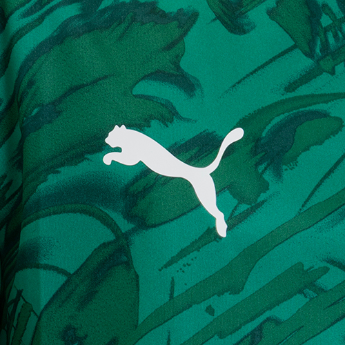 TEAMFINAL グラフィック ゲームシャツ