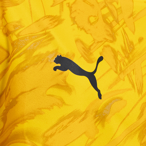 TEAMFINAL グラフィック ゲームシャツ