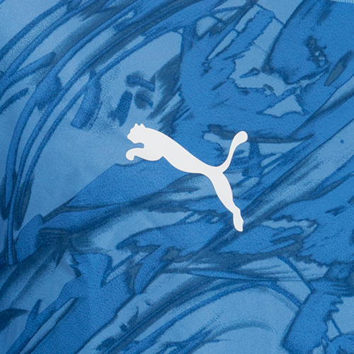 TEAMFINAL グラフィック ゲームシャツ