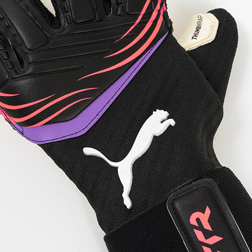 フューチャー プロ ハイブリッド