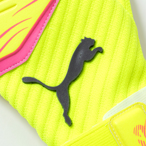 フューチャー プロ ハイブリッド