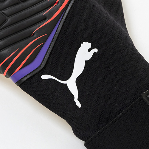 フューチャー プロ SGC